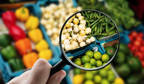 Nueva publicación sobre InfoAlimentos