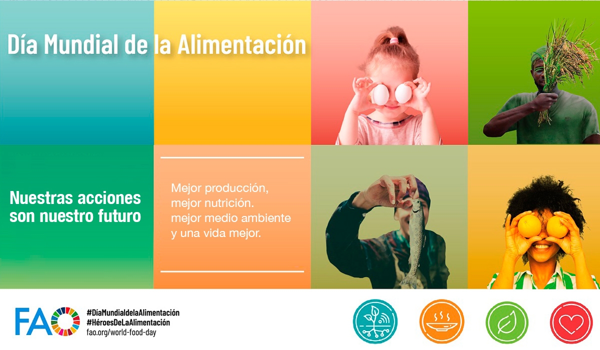 Día Alimentación