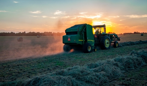 Análisis de riesgo para el sector agroalimentario